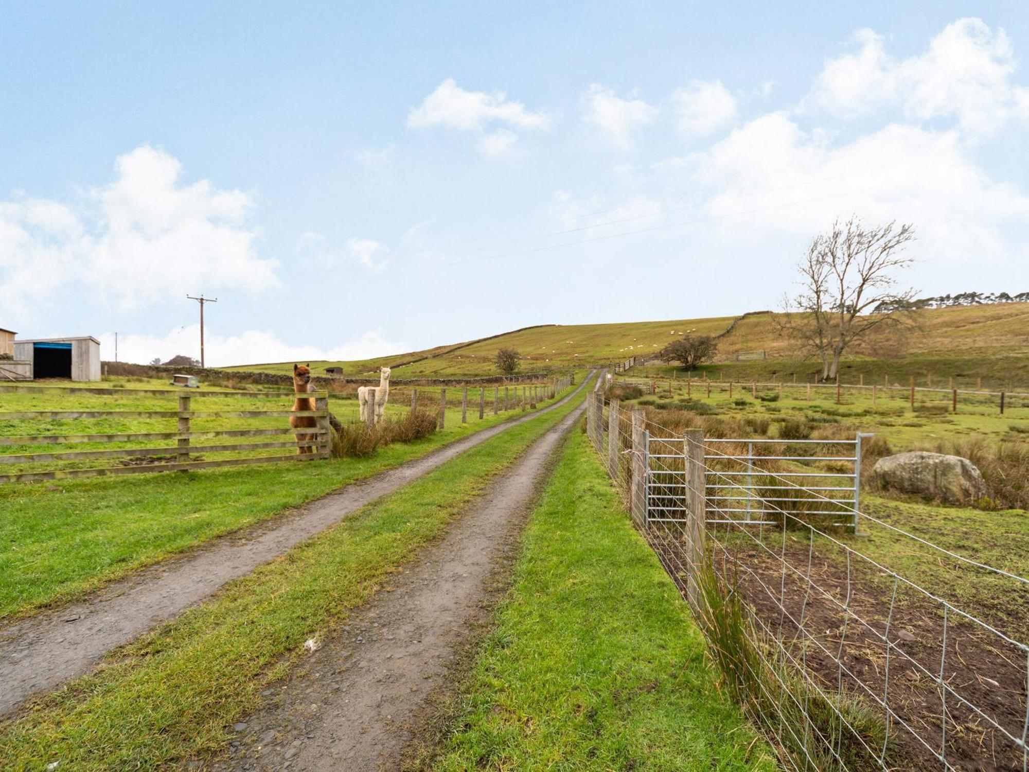 Ferny Rigg Byre - Uk3326 Villa Falstone Exterior photo
